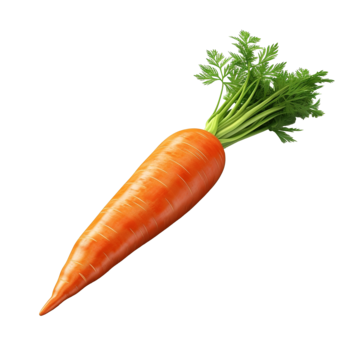 a carrot